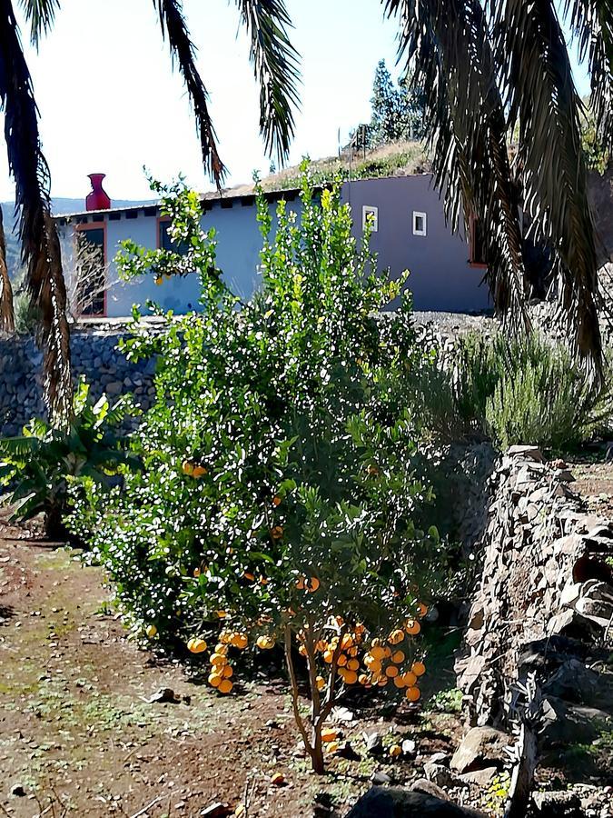 Casa La Montana Villa El Cedro Exteriör bild